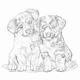 Coloring Pages Of Realistic Puppies  Mimi Panda sketch template