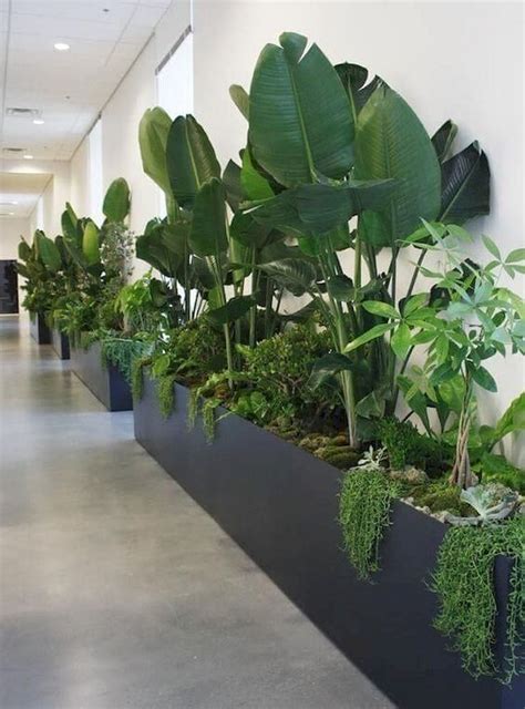 80 Indoor Garden Office and Office Plants Design Ideas For Summer - worldecor.co | Interior ...