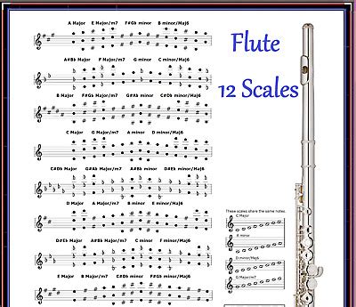 FLUTE CHART - 12 SCALES - EVERY NOTE IN ANY KEY | eBay