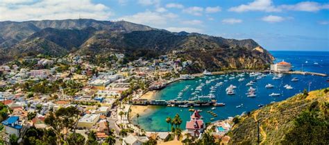 The 27 Essential Things to Do on Catalina Island