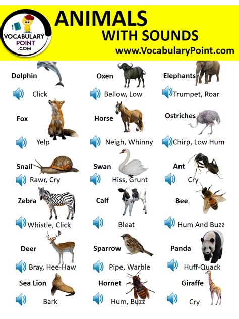 130+ Animals With Sounds Pdf | Animal Sounds List - Vocabulary Point