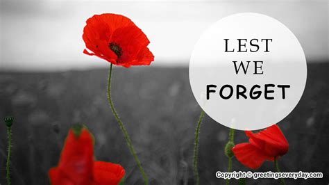 Remembrance Day Wallpapers & Images For WhatsApp & Facebook