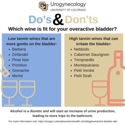 Can Alcohol Cause Bladder Problems? - Recovery Ranger