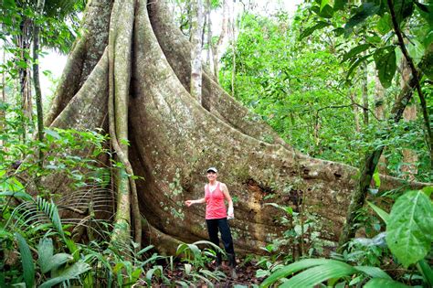 Trekking in the Amazon Rainforest - Earth Trekkers