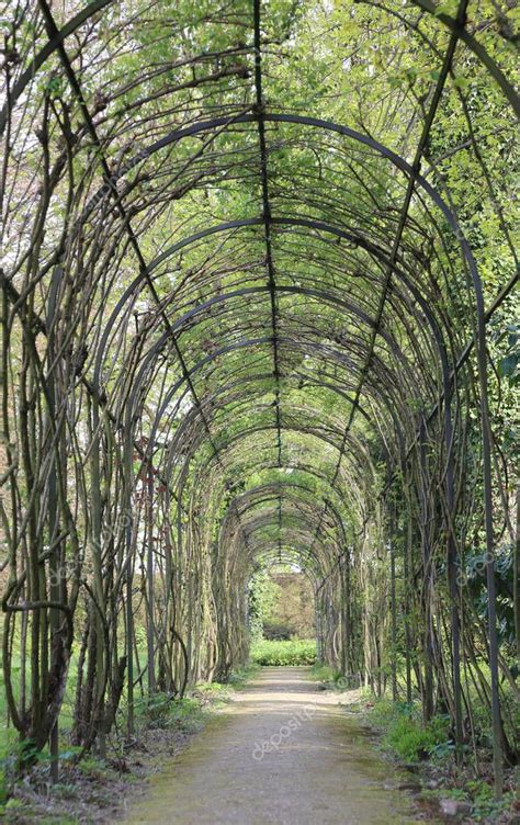 Hedges tunnel and flowers in a garden in spring — Stock Photo ...