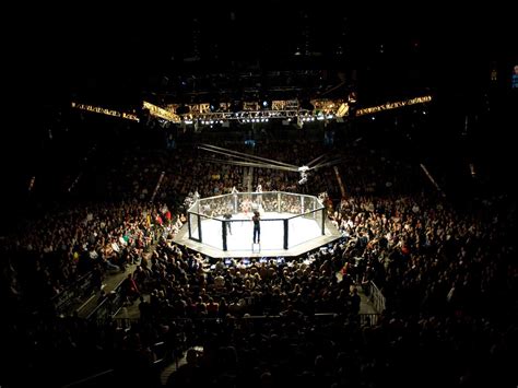 Ufc Fighting Cage