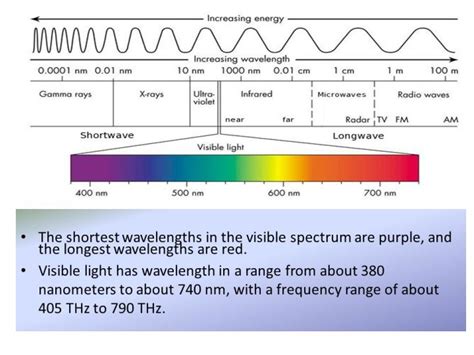 What Is The Shortest Wavelength Of Visible Light In Meters | Decoratingspecial.com