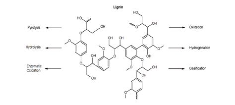 Proses Pemisahan Lignin Dari Kayu Pada Teknologi Biopulping Menggunakan ...