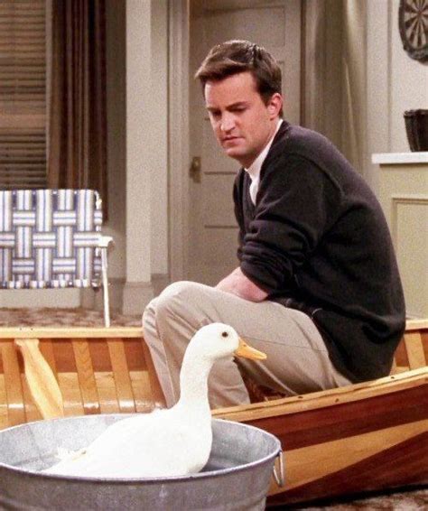 chandler bing - friends | Chandler friends, Chandler bing, Matthew ...