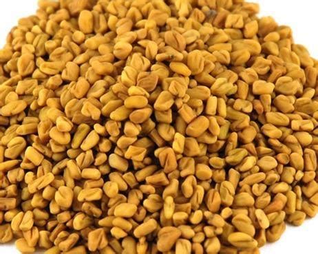 Fenugreek Seed (Vendhayam) 50gm - The Spice Asia Manufacturer, Distribution & Wholesale Supply