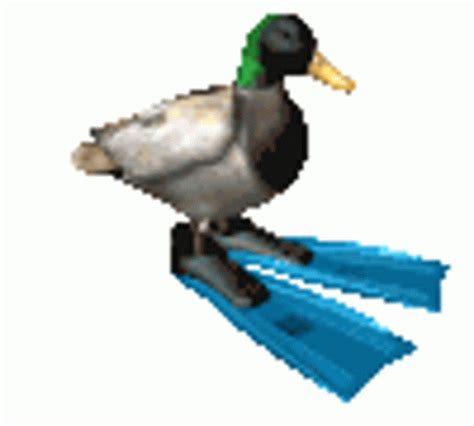 Duck Flipper GIF - Duck Flipper Spin - Discover & Share GIFs | Gif ...