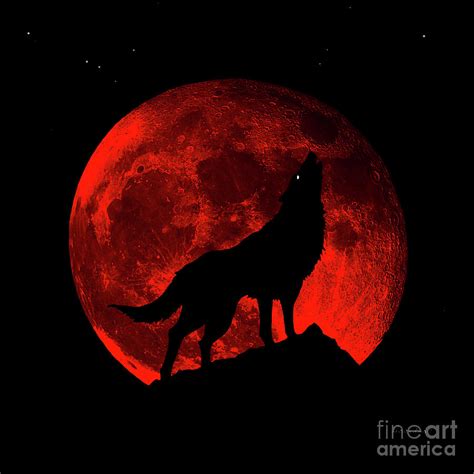 Red Wolf Growling