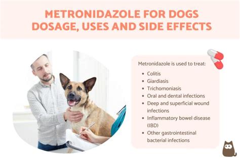 Metronidazole for Dogs - Dosage, Uses and Side Effects With Dose Chart