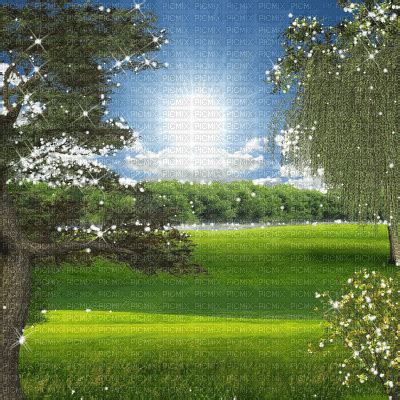 animated background tree nature, animated , sunlight , background , green , tree , trees ...