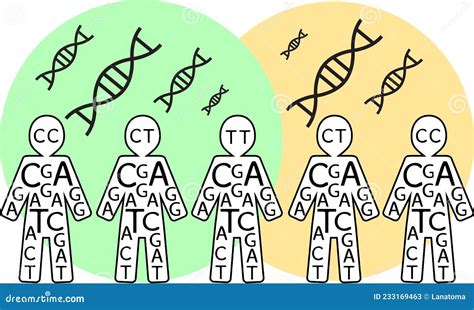 Illustration of Human Population Carrying DNA - Population Genetics and ...