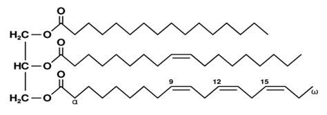 Triglyceride: Structure, Types, Range and Functions