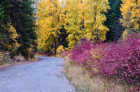 Blewett Pass Washington with fall colors. Photograph by Wayne Bressler ...