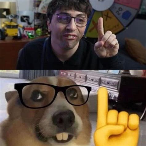 🤓☝️ akshually dog | Nerd Dog | Know Your Meme