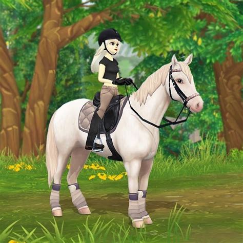 Pin by Luna Rose on Star stable | Star stable horses, Sso outfits, Star ...