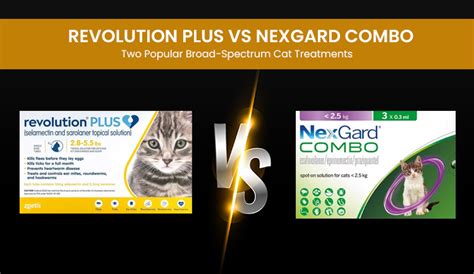 Revolution Plus vs Nexgard Combo - Two Popular Broad-Spectrum Cat Treatments - BudgetPetWorld