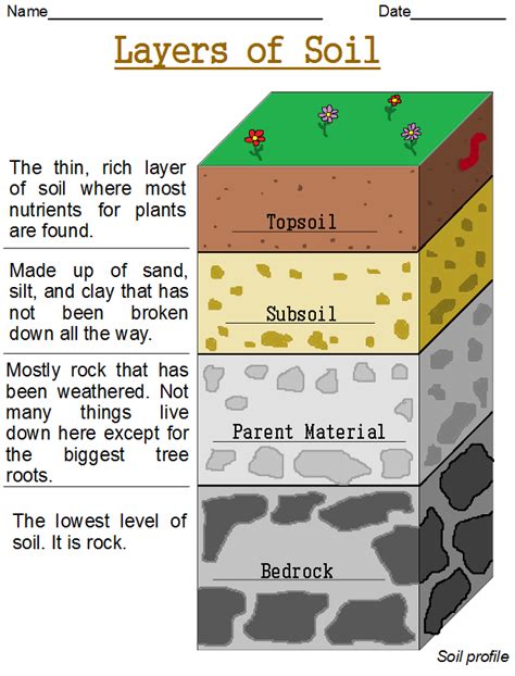 Layers Of Soil 3d Model