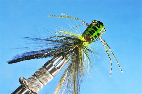 Top 10 Topwater Flies for Smallmouth Bass - Orvis News