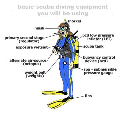 Scuba Gear Diagram