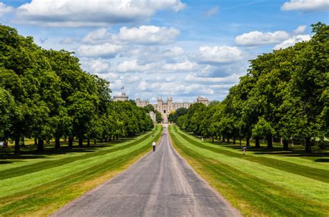 "Windsor Great Park" Images – Browse 188 Stock Photos, Vectors, and Video | Adobe Stock