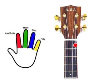 Basic Ukulele Chords for Beginners | Ukulelemad