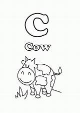 Cow Start With Letter C Coloring Page  Free & Printable sketch template
