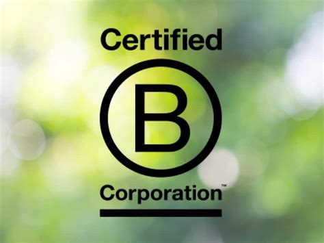 B Corp Greenwashing: How Ethical & Reliable Is Their Certification?