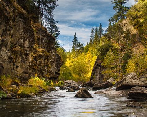 Sacramento River - 2 Photograph by Randy Wood