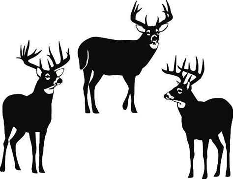 Pic Of Whitetail Deer Silhouette Stock Photos, Pictures & Royalty-Free ...