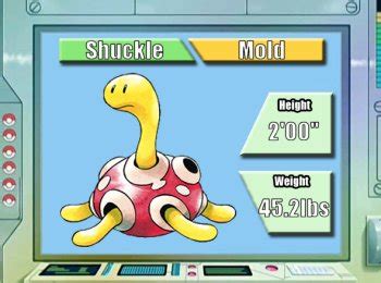 Shuckle Evolution Chart