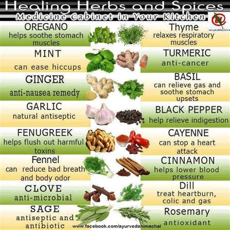 healing herbs and spices | DIY Recipies, Remedies, & Crafts! | Medicinal herbs, Healing herbs ...