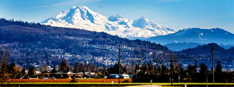 Things To Do In Abbotsford In Winter