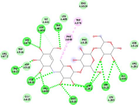 2D interaction diagram of acarbose with the active site of ...