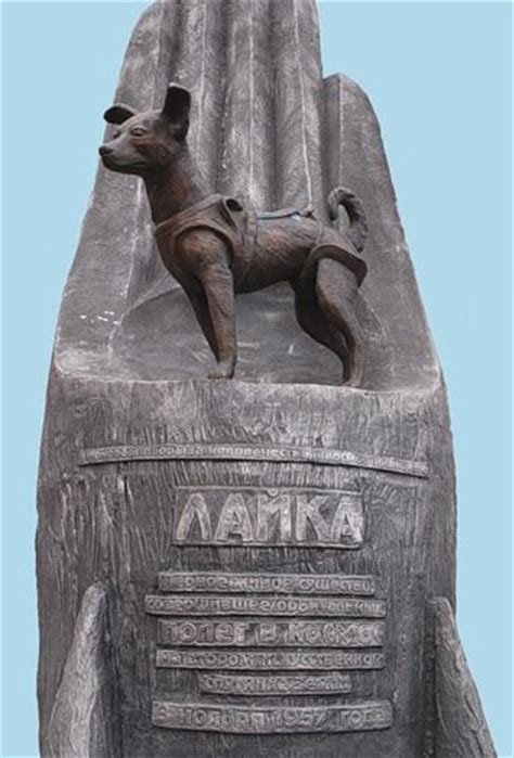 Laika; monument to the first dog into space. A hero of the Soviet Union's space program. I ...