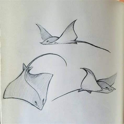 Realistic Stingray Tattoo