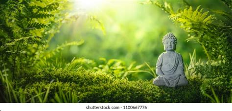 Serene Lord Buddha Nature Wallpaper | ubicaciondepersonas.cdmx.gob.mx