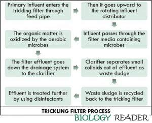 Trickling Filter Process - Definition, Operation, Design & Types - Biology Reader