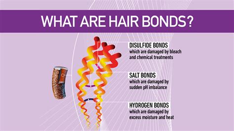 How To Repair Disulfide Bonds In Hair - Strain Husafter1999