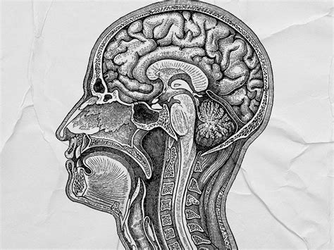 Hashimoto encephalopathy: Symptoms, causes, and more