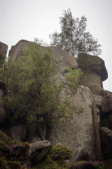 Ilkley Moor Landscape Photograph by Svetlana Sewell - Fine Art America