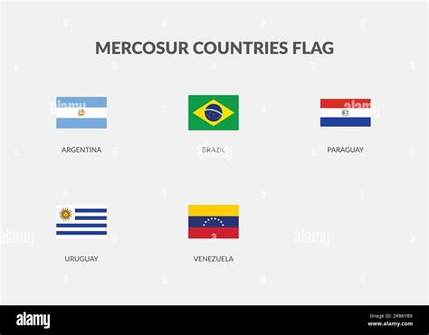 Mercosur Countries Rectangle flag icon set Stock Vector Image & Art - Alamy