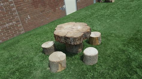 20+30+ Tree Stump Playground Ideas