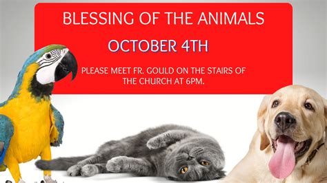 Blessing of the Animals - Saint Francis de Sales