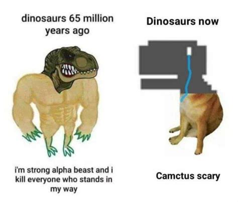 Dinosaur Memes for Jurassic Jokers - Memebase - Funny Memes