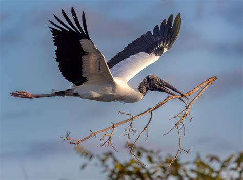 Florida Photo Tours and Workshops — Slonina Nature Photography