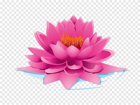 Nelumbo nucifera Euclidean, Pink Lotus, logo, sacred Lotus png | PNGEgg